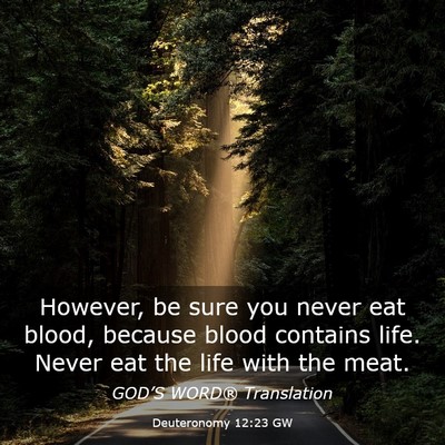 Picture 03 - Deuteronomy 12:23 GW - However, be sure you never eat blood, because - Bible Verse Picture