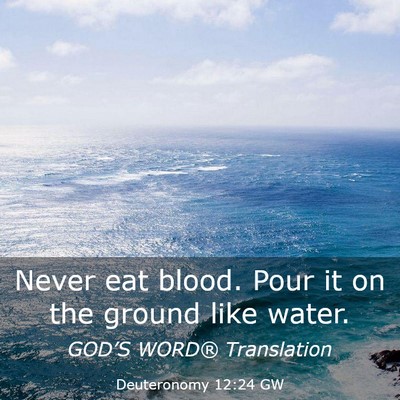 Picture 03 - Deuteronomy 12:24 GW - Never eat blood. Pour it on the ground like - Bible Verse Picture