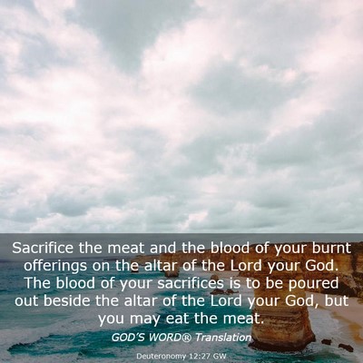Picture 03 - Deuteronomy 12:27 GW - Sacrifice the meat and the blood of your burnt - Bible Verse Picture