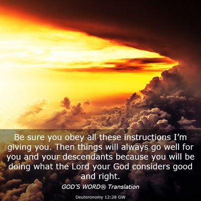 Picture 03 - Deuteronomy 12:28 GW - Be sure you obey all these instructions I’m - Bible Verse Picture