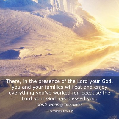 Picture 03 - Deuteronomy 12:7 GW - There, in the presence of the Lord your God, you - Bible Verse Picture