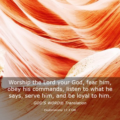 Picture 03 - Deuteronomy 13:4 GW - Worship the Lord your God, fear him, obey his - Bible Verse Picture