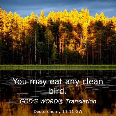 Picture 03 - Deuteronomy 14:11 GW - You may eat any clean - Bible Verse Picture