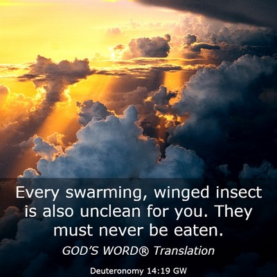 Picture 03 - Deuteronomy 14:19 GW - Every swarming, winged insect is also unclean for - Bible Verse Picture