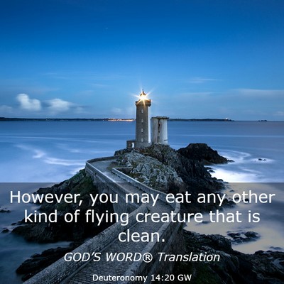 Picture 03 - Deuteronomy 14:20 GW - However, you may eat any other kind of flying - Bible Verse Picture