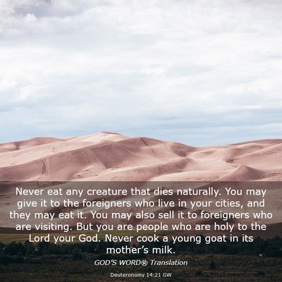 Picture 03 - Deuteronomy 14:21 GW - Never eat any creature that dies naturally. You - Bible Verse Picture