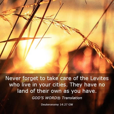 Picture 03 - Deuteronomy 14:27 GW - Never forget to take care of the Levites who live - Bible Verse Picture