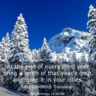Picture 03 - Deuteronomy 14:28 GW - At the end of every third year bring a tenth of - Bible Verse Picture