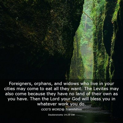 Picture 03 - Deuteronomy 14:29 GW - Foreigners, orphans, and widows who live in your - Bible Verse Picture
