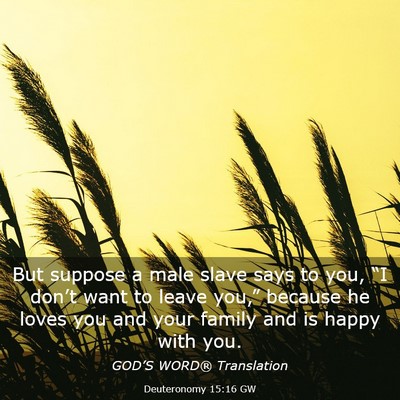 Picture 03 - Deuteronomy 15:16 GW - But suppose a male slave says to you, “I - Bible Verse Picture
