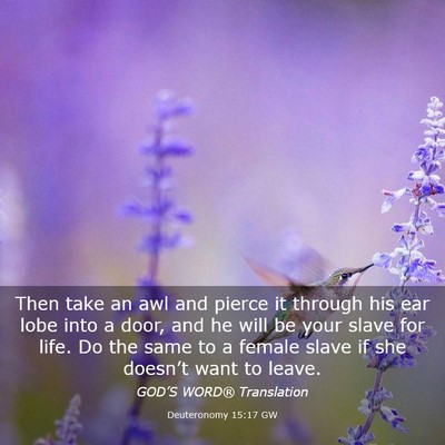 Picture 03 - Deuteronomy 15:17 GW - Then take an awl and pierce it through his ear - Bible Verse Picture