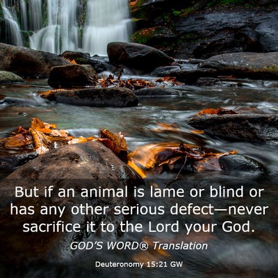 Picture 03 - Deuteronomy 15:21 GW - But if an animal is lame or blind or has any - Bible Verse Picture
