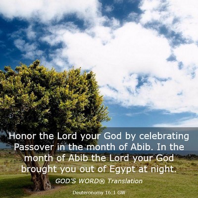 Picture 03 - Deuteronomy 16:1 GW - Honor the Lord your God by celebrating Passover - Bible Verse Picture