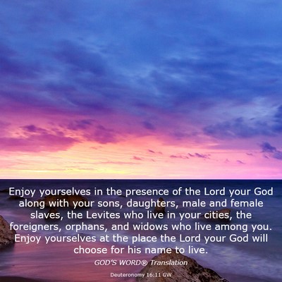 Picture 03 - Deuteronomy 16:11 GW - Enjoy yourselves in the presence of the Lord your - Bible Verse Picture