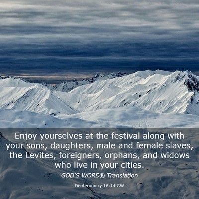 Picture 03 - Deuteronomy 16:14 GW - Enjoy yourselves at the festival along with your - Bible Verse Picture
