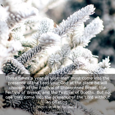 Picture 03 - Deuteronomy 16:16 GW - Three times a year all your men must come into - Bible Verse Picture
