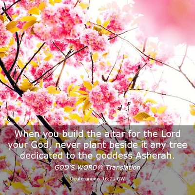 Picture 03 - Deuteronomy 16:21 GW - When you build the altar for the Lord your God, - Bible Verse Picture