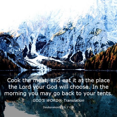 Picture 03 - Deuteronomy 16:7 GW - Cook the meat, and eat it at the place the Lord - Bible Verse Picture
