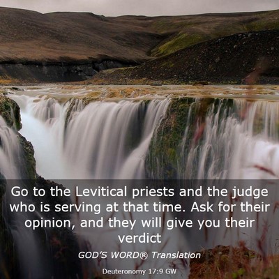 Picture 03 - Deuteronomy 17:9 GW - Go to the Levitical priests and the judge who is - Bible Verse Picture