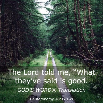 Picture 03 - Deuteronomy 18:17 GW - The Lord told me, “What they’ve said is - Bible Verse Picture