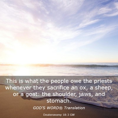 Picture 03 - Deuteronomy 18:3 GW - This is what the people owe the priests whenever - Bible Verse Picture
