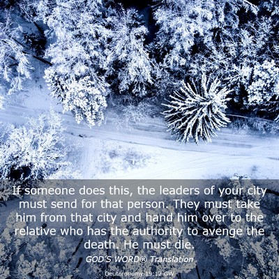 Picture 03 - Deuteronomy 19:12 GW - If someone does this, the leaders of your city - Bible Verse Picture