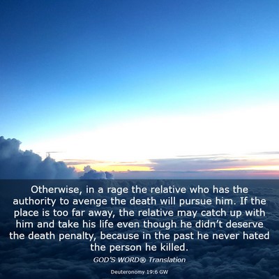 Picture 03 - Deuteronomy 19:6 GW - Otherwise, in a rage the relative who has the - Bible Verse Picture