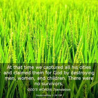 Picture 03 - Deuteronomy 2:34 GW - At that time we captured all his cities and - Bible Verse Picture