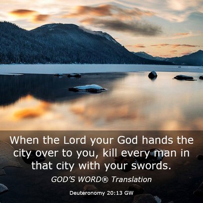 Picture 03 - Deuteronomy 20:13 GW - When the Lord your God hands the city over to - Bible Verse Picture