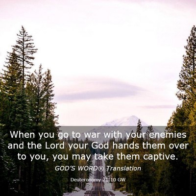 Picture 03 - Deuteronomy 21:10 GW - When you go to war with your enemies and the Lord - Bible Verse Picture