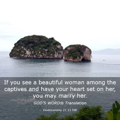 Picture 03 - Deuteronomy 21:11 GW - If you see a beautiful woman among the captives - Bible Verse Picture