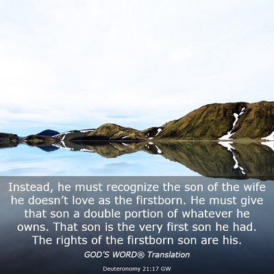 Picture 03 - Deuteronomy 21:17 GW - Instead, he must recognize the son of the wife he - Bible Verse Picture