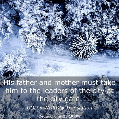 Picture 03 - Deuteronomy 21:19 GW - His father and mother must take him to the - Bible Verse Picture