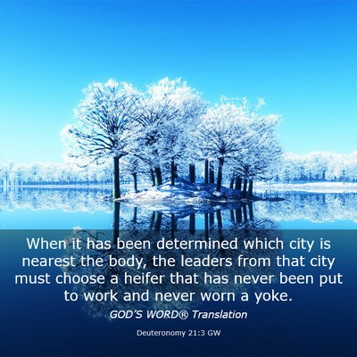 Picture 03 - Deuteronomy 21:3 GW - When it has been determined which city is nearest - Bible Verse Picture