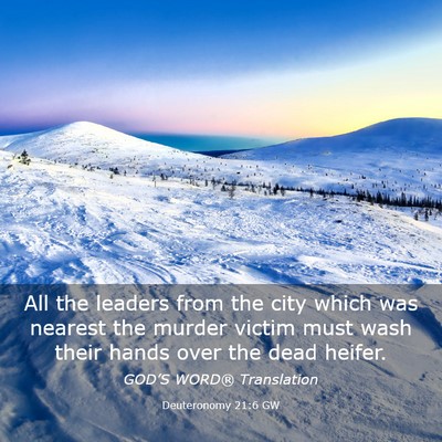 Picture 03 - Deuteronomy 21:6 GW - All the leaders from the city which was nearest - Bible Verse Picture