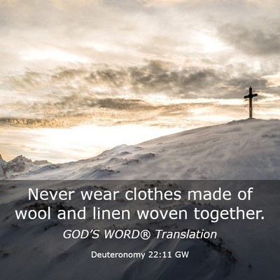 Picture 03 - Deuteronomy 22:11 GW - Never wear clothes made of wool and linen woven - Bible Verse Picture