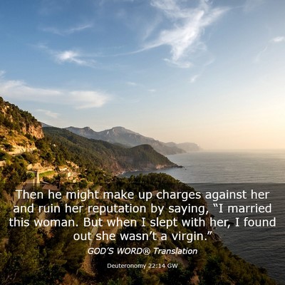 Picture 03 - Deuteronomy 22:14 GW - Then he might make up charges against her and - Bible Verse Picture