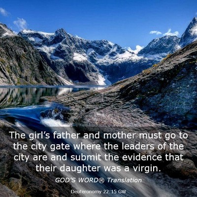 Picture 03 - Deuteronomy 22:15 GW - The girl’s father and mother must go to the - Bible Verse Picture