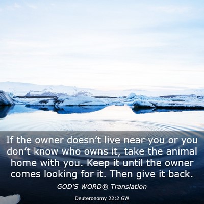Picture 03 - Deuteronomy 22:2 GW - If the owner doesn’t live near you or you - Bible Verse Picture