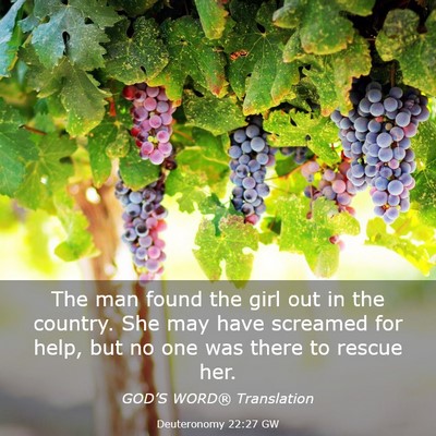 Picture 03 - Deuteronomy 22:27 GW - The man found the girl out in the country. She - Bible Verse Picture