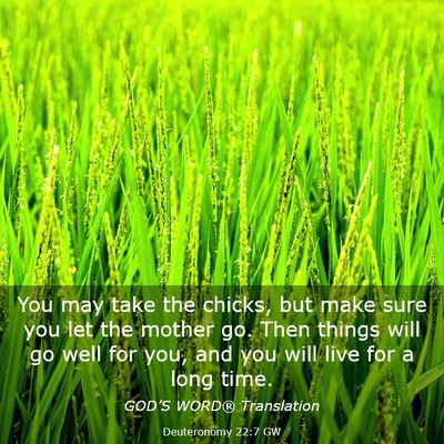 Picture 03 - Deuteronomy 22:7 GW - You may take the chicks, but make sure you let - Bible Verse Picture