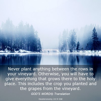 Picture 03 - Deuteronomy 22:9 GW - Never plant anything between the rows in your - Bible Verse Picture