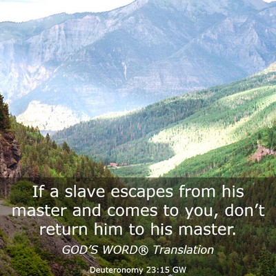 Picture 03 - Deuteronomy 23:15 GW - If a slave escapes from his master and comes to - Bible Verse Picture