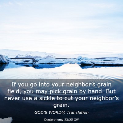 Picture 03 - Deuteronomy 23:25 GW - If you go into your neighbor’s grain field, you - Bible Verse Picture