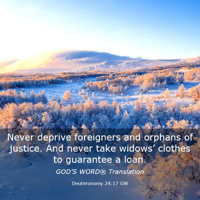 Picture 03 - Deuteronomy 24:17 GW - Never deprive foreigners and orphans of justice. - Bible Verse Picture