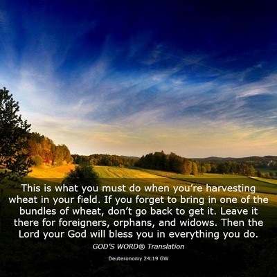 Picture 03 - Deuteronomy 24:19 GW - This is what you must do when you’re harvesting - Bible Verse Picture