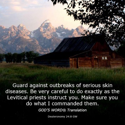 Picture 03 - Deuteronomy 24:8 GW - Guard against outbreaks of serious skin diseases. - Bible Verse Picture