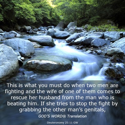 Picture 03 - Deuteronomy 25:11 GW - This is what you must do when two men are - Bible Verse Picture