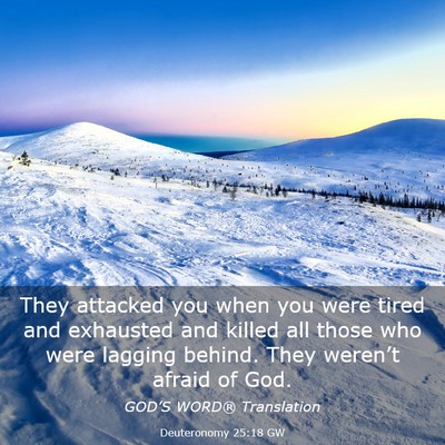 Picture 03 - Deuteronomy 25:18 GW - They attacked you when you were tired and - Bible Verse Picture