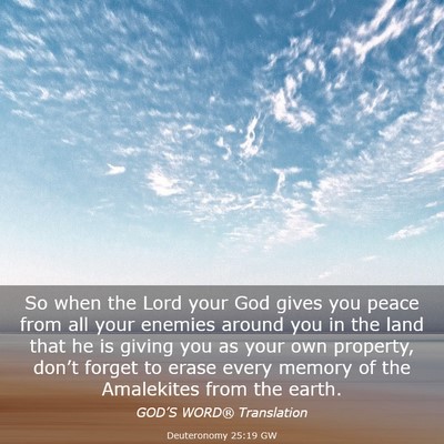 Picture 03 - Deuteronomy 25:19 GW - So when the Lord your God gives you peace from - Bible Verse Picture